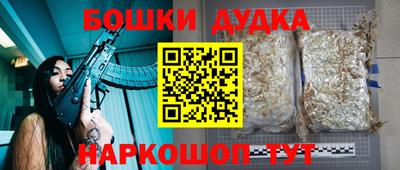 скорость Дубна