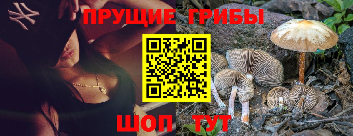 Псилоцибиновые грибы Psilocybe  Вход с VPN  Можга  наркотики  Галлюциногенные грибы прущие грибы 